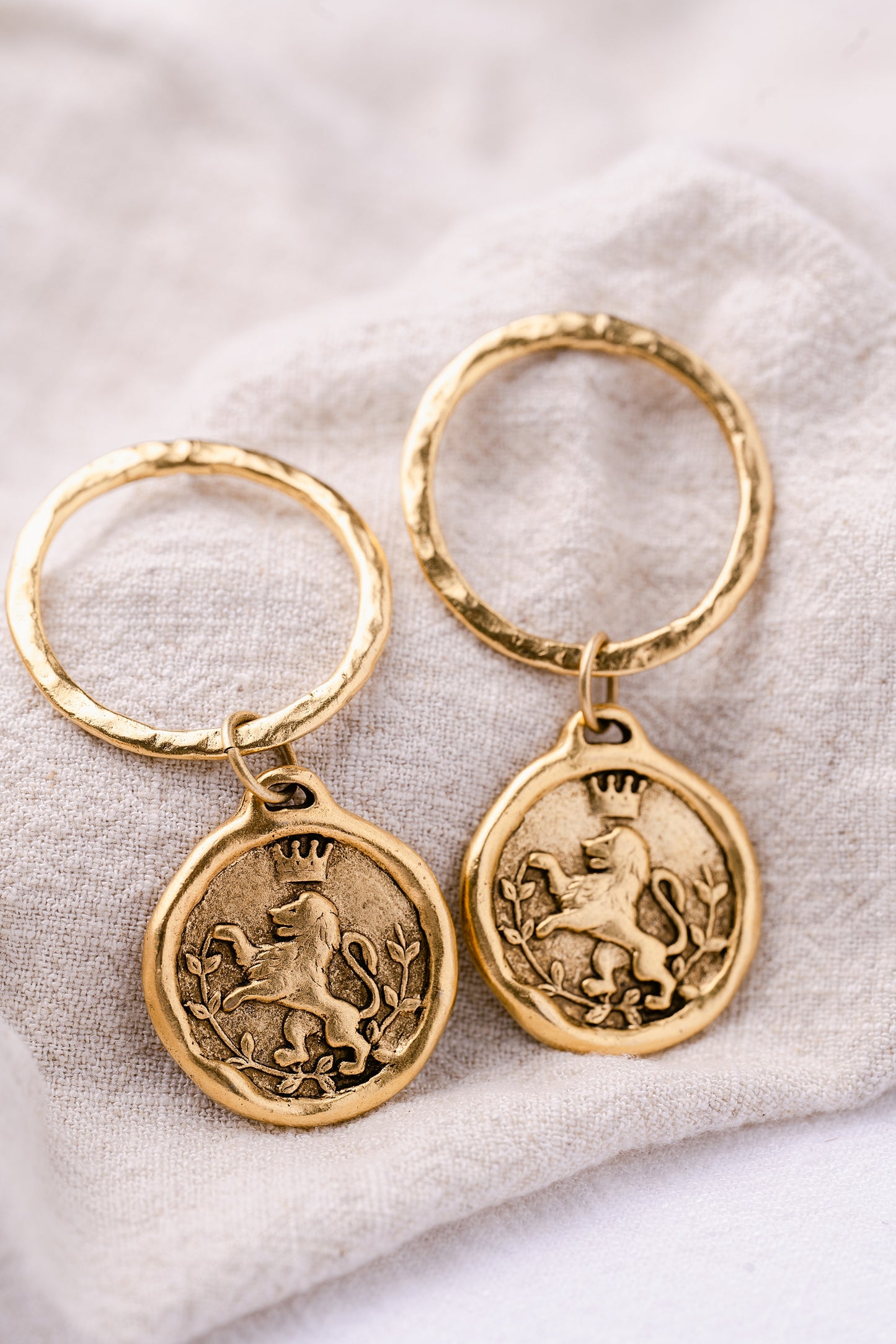 Brave Earrings